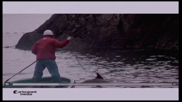 A good story, well told, can change the world